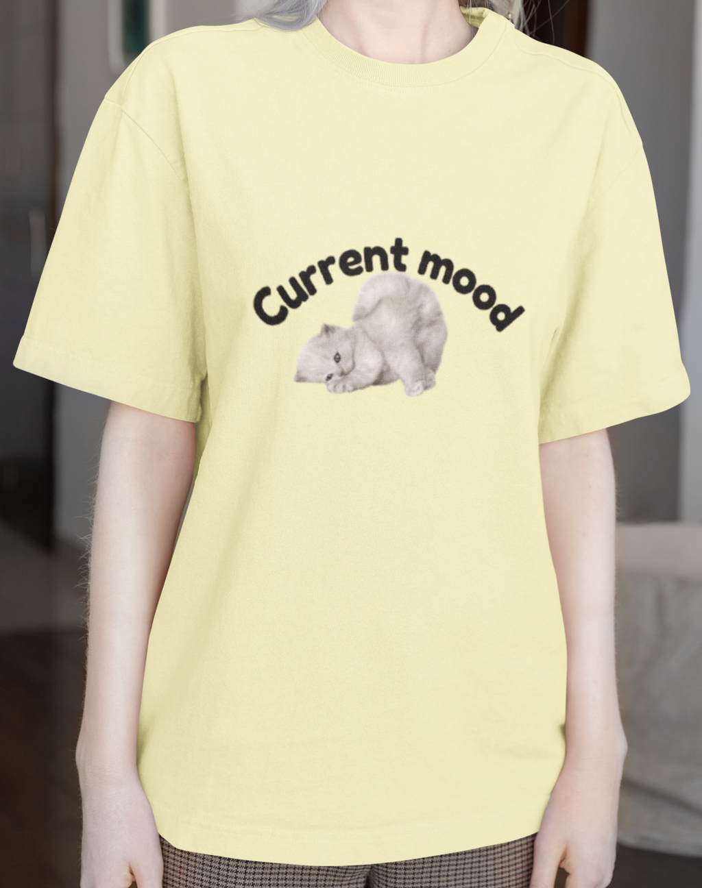 Current Mood Sleeping Cat T-Shirt – Funny Cat Lover Tee